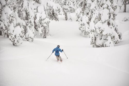 Eaglecrest Ski Area Ski Resort by: tourist offical