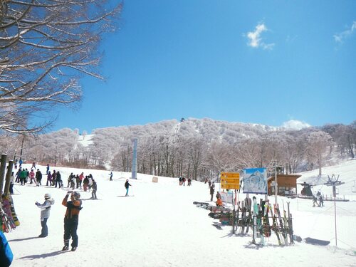 Nozawa Onsen Ski Resort by: tourist offical