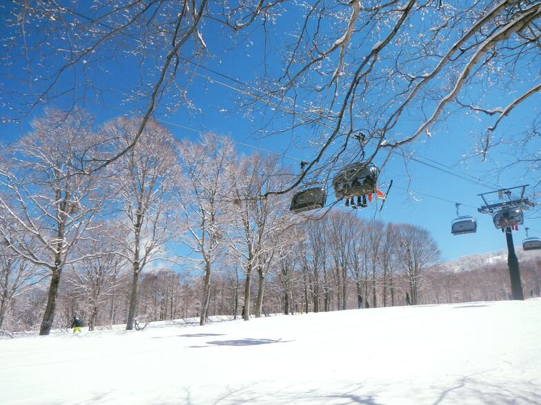 Nozawa Onsen 