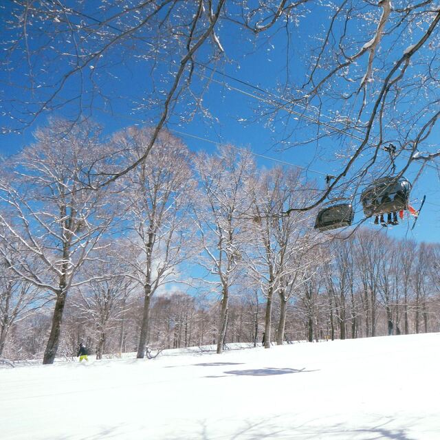 Nozawa Onsen 