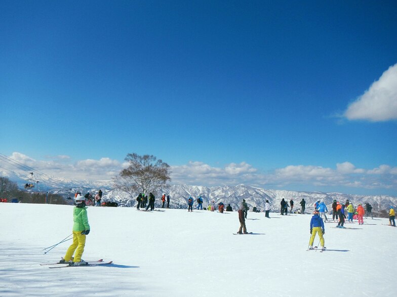 Nozawa Onsen