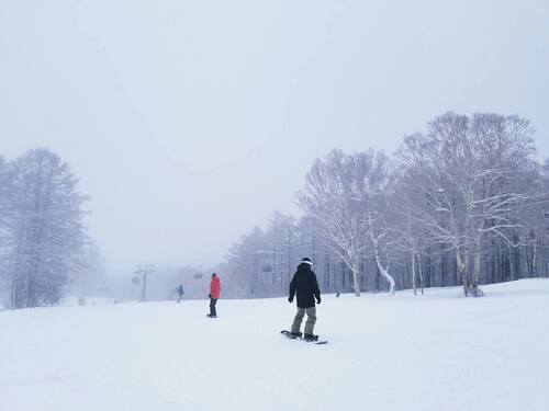 Nozawa Onsen Ski Resort by: tourist offical