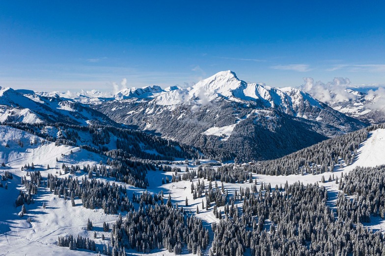 Chatel