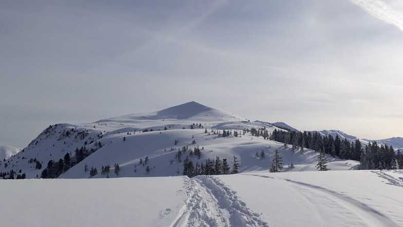 Niederau - Wildschonau snow