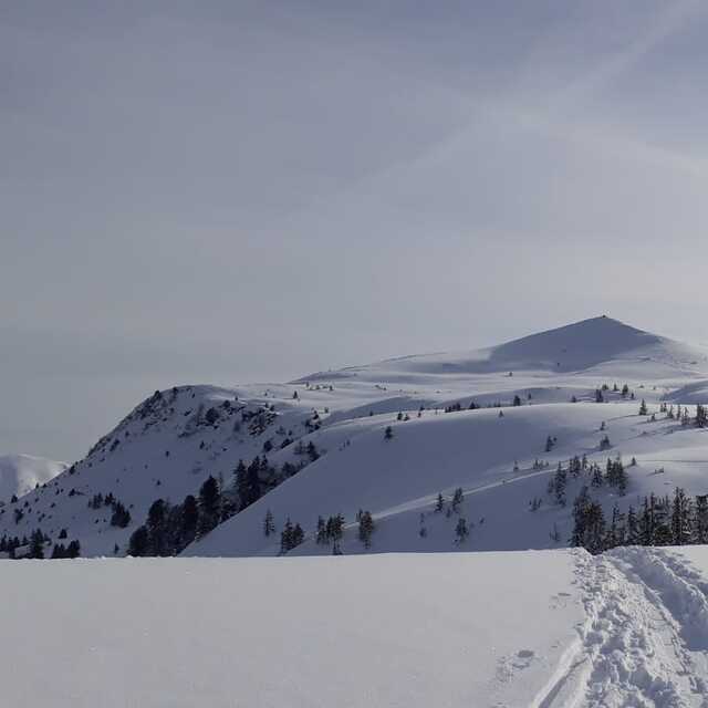 Niederau, Niederau - Wildschonau