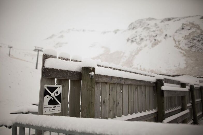 snow arrives, Porters