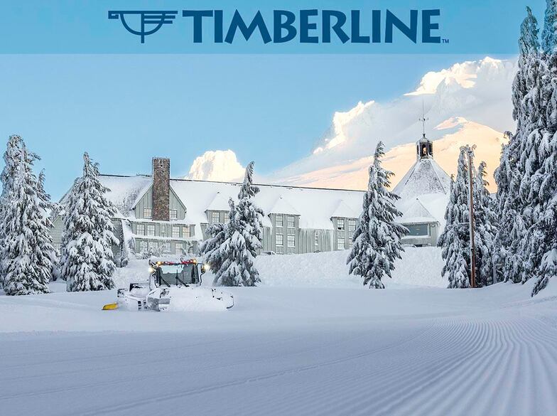 re-opening 15th May, Timberline