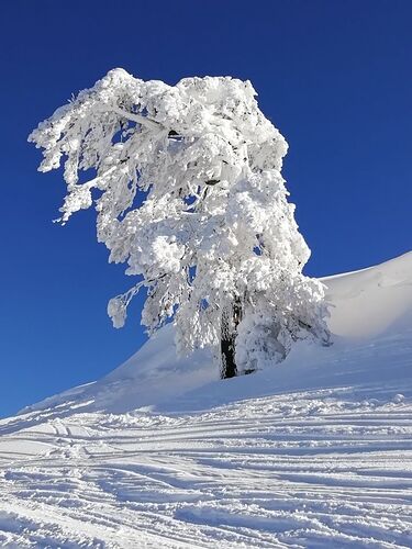 Vasilitsa Ski Resort by: Stergios Papanikos