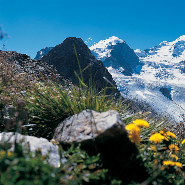 Photo: Christof Sonderegger (c)Engadin St. Moritz Tourismus, Diavolezza-Lagalb