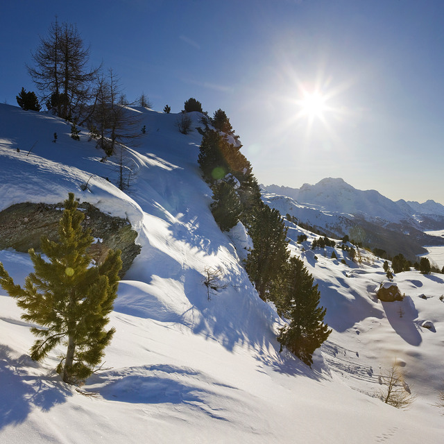 Silvaplana/Engadin Snow: Photo: Daniel Martinek (c)Engadin St. Moritz Tourismus