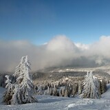 Jahorina