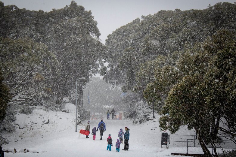 great conditions, Mount Baw Baw