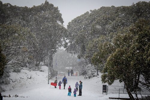 Mount Baw Baw Ski Resort by: Snow Forecast Admin