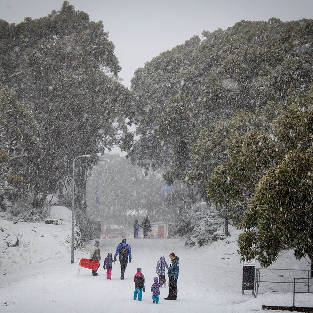 great conditions, Mount Baw Baw