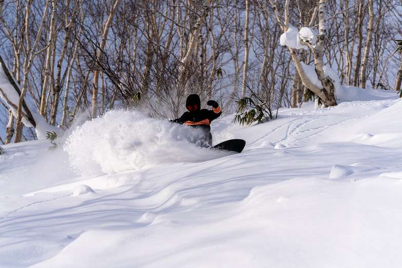 Fresh Powder days in Jan 2020, Niseko Moiwa