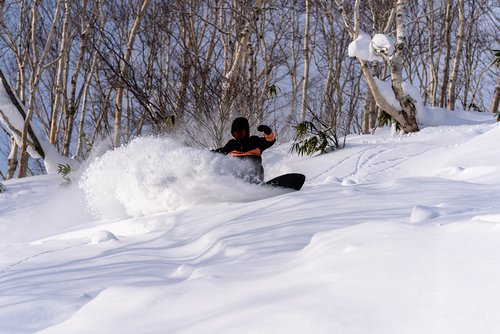Niseko Moiwa Ski Resort by: Niseko Moiwa Ski Resort