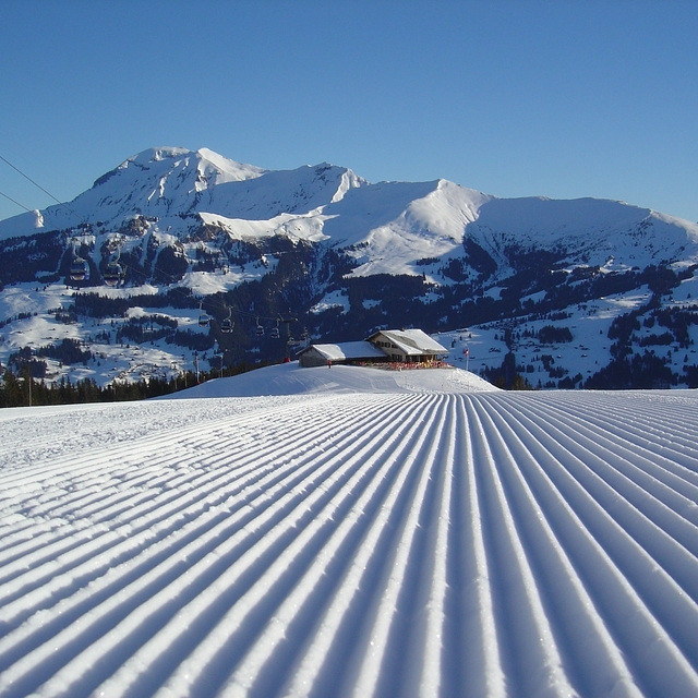 Fantastic Slopes on Lenk Betelberg