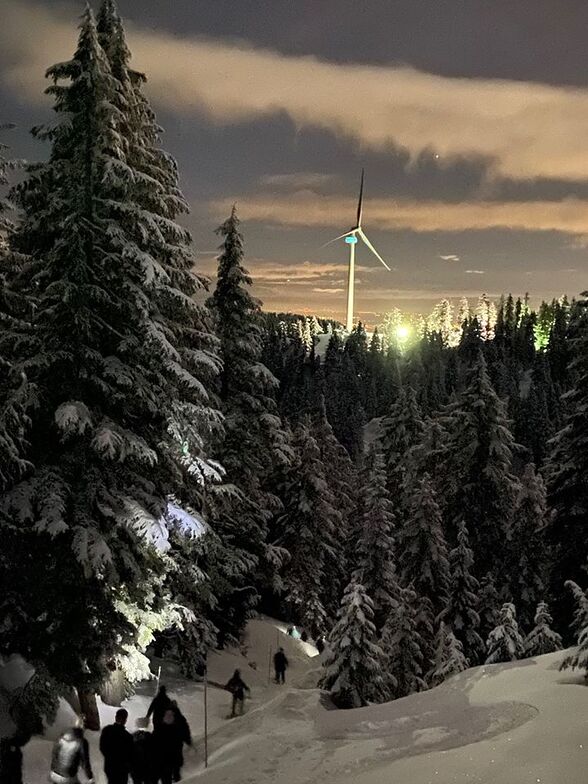 Grouse Mountain