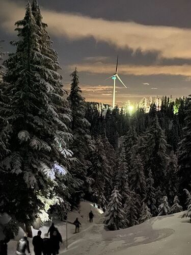 Grouse Mountain Ski Resort by: tourist offical