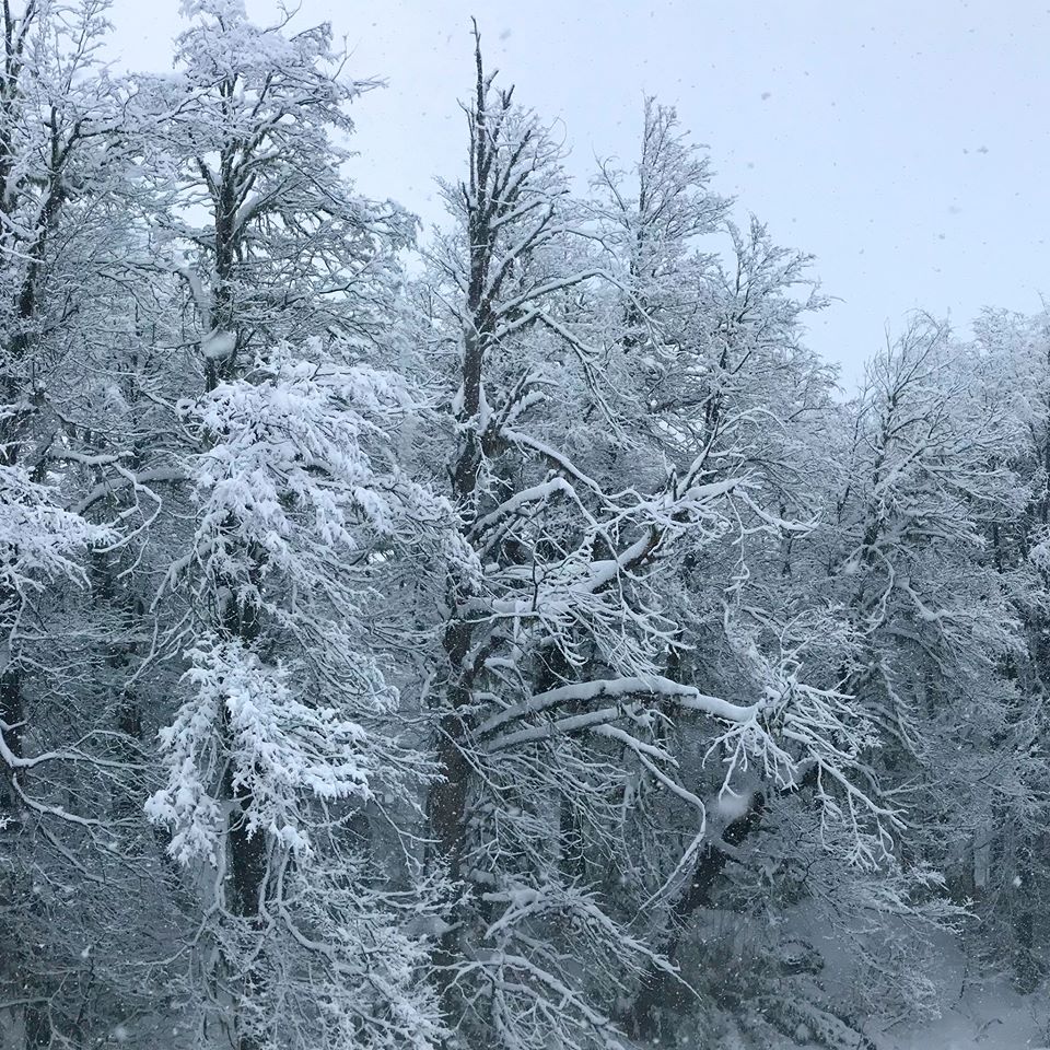 Nevados de Chillan