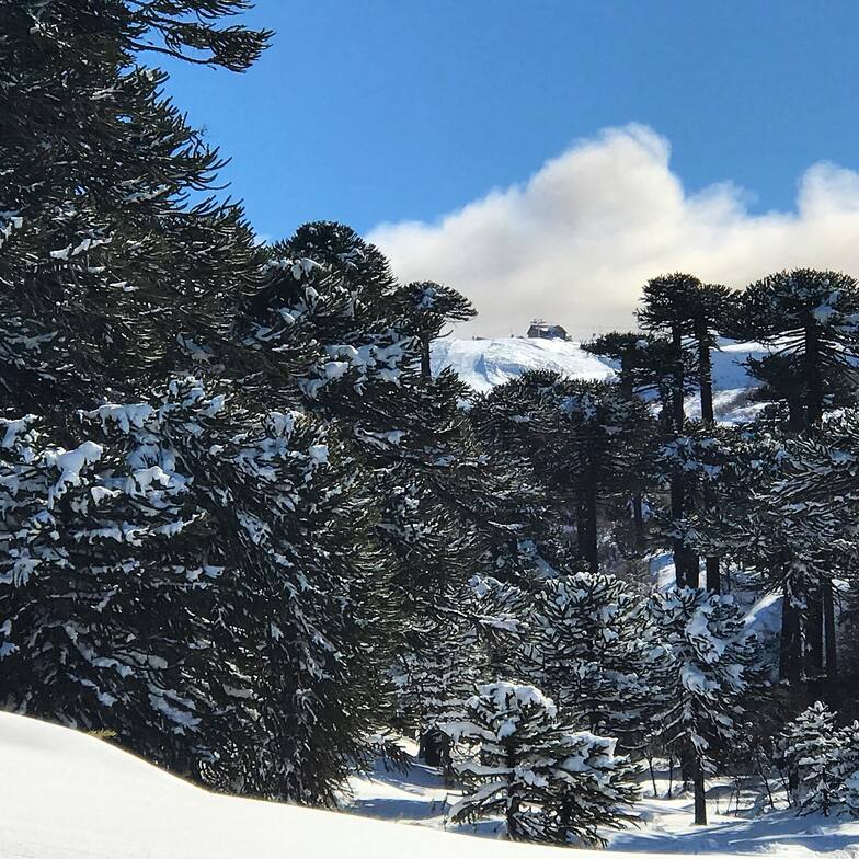 Caviahue Resort