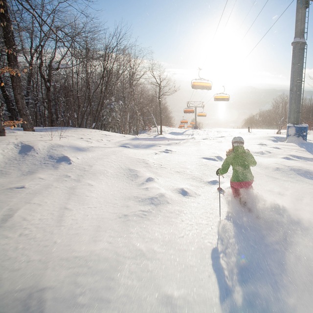 Okemo Resort, Okemo Mountain