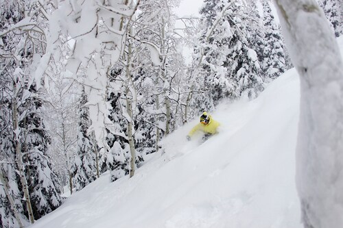Deer Valley Ski Resort by: tourist offical