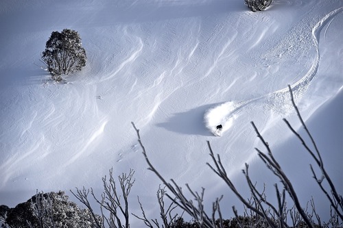 Mount Hotham Ski Resort by: tourist offical