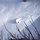 Mt Hotham, Mount Hotham