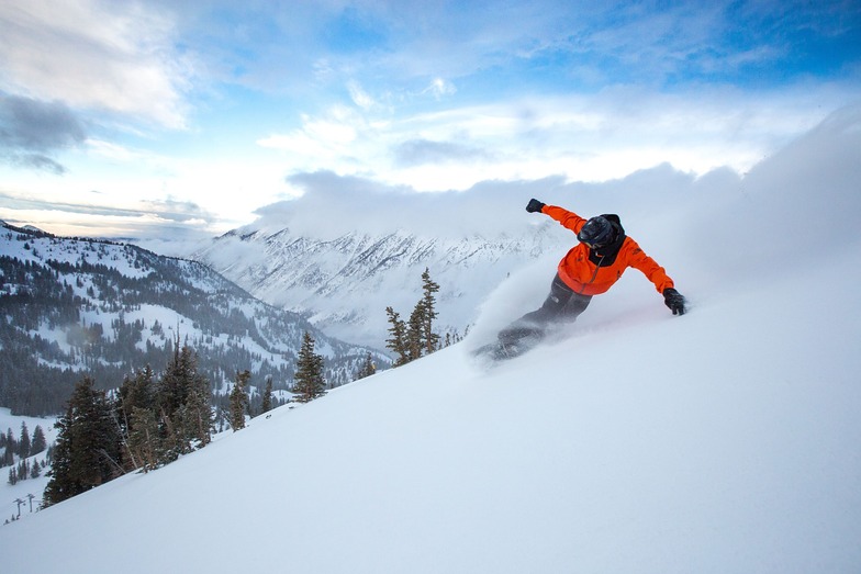 Snowbird