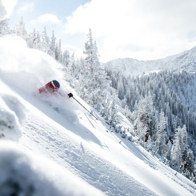 Snowbird Snow