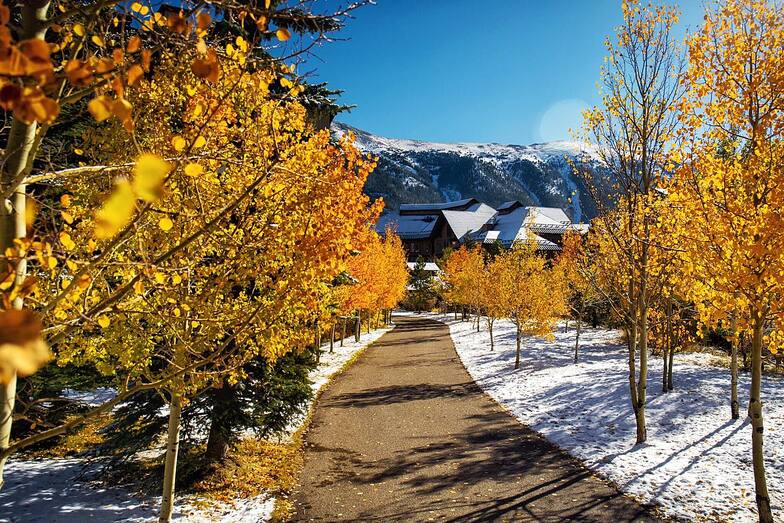 the name displayed in the trees, Copper Mountain
