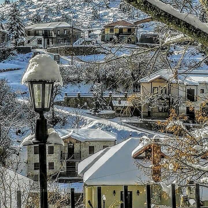 Snowing houses, Seli