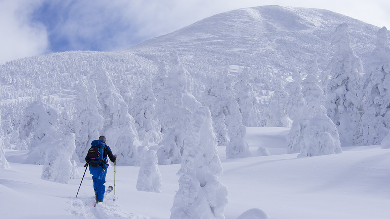 Skinning through snow monsters, Hakkoda
