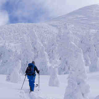 Skinning through snow monsters, Hakkoda