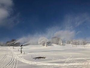 lovely view, Hyland Ski and Snowboard Area photo