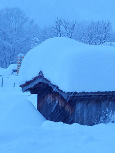 December 7th 2020, Splügen photo