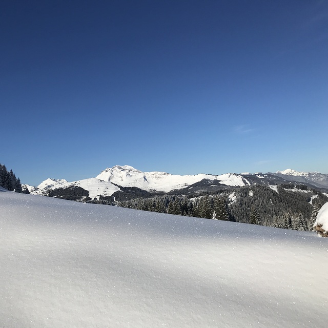 Morzine Snow: Douceur d’hiver. 