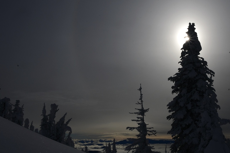 Overlooking the Kootenay Sea, Big Red Cats