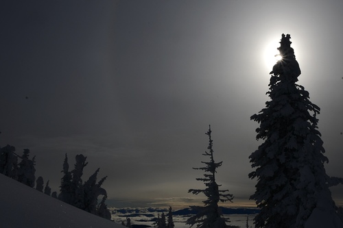 Big Red Cats Ski Resort by: Big Red  Cats