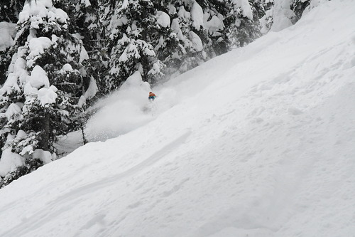 Big Red Cats Ski Resort by: Big Red  Cats