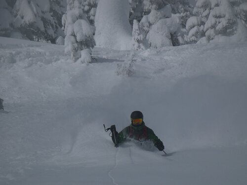 Big Red Cats Ski Resort by: Big Red  Cats