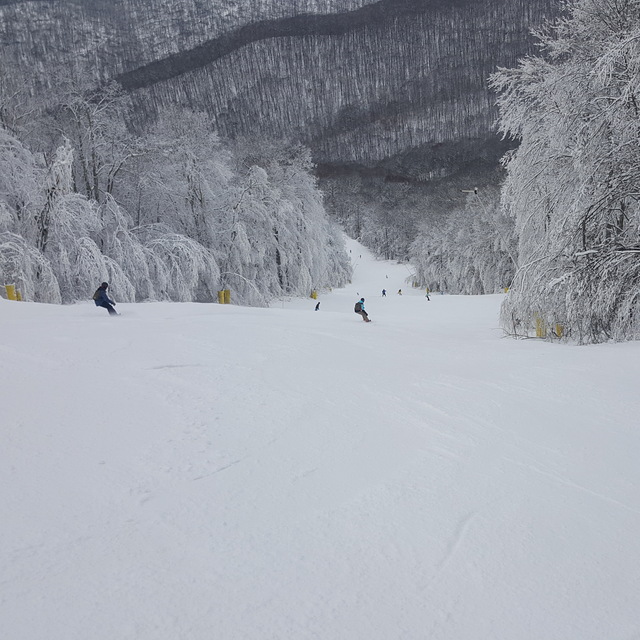 Cupp Run, Snowshoe Mountain Resort