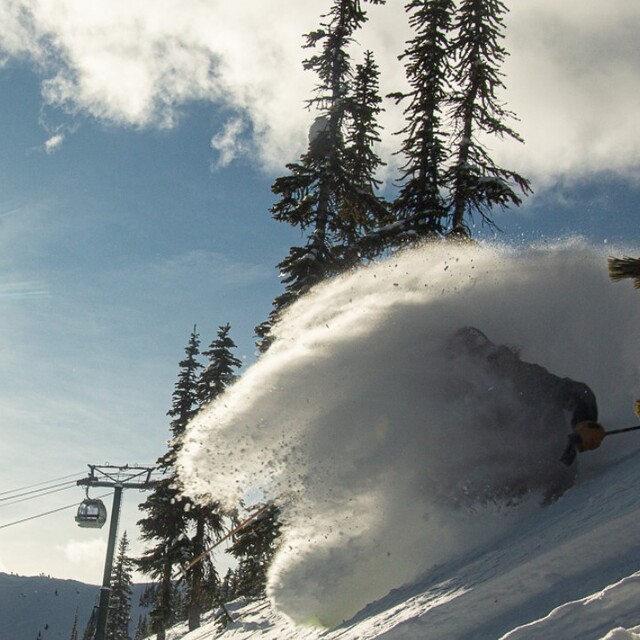 Kicking Horse Snow: powder