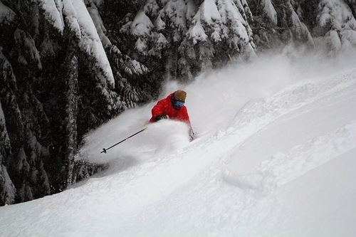 Mt Hood Ski Bowl Ski Resort by: Gary  Peterson