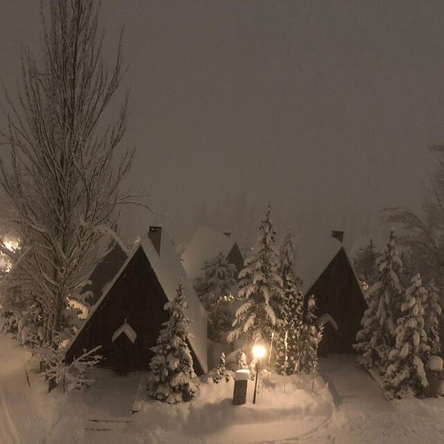Shemshak Snow: Calm Beauty 