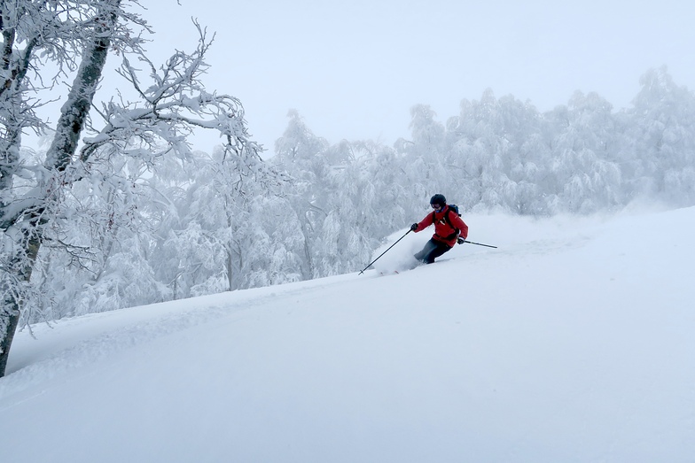 Terminilo Freeride, Terminillo