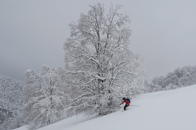 Terminillo Freeride