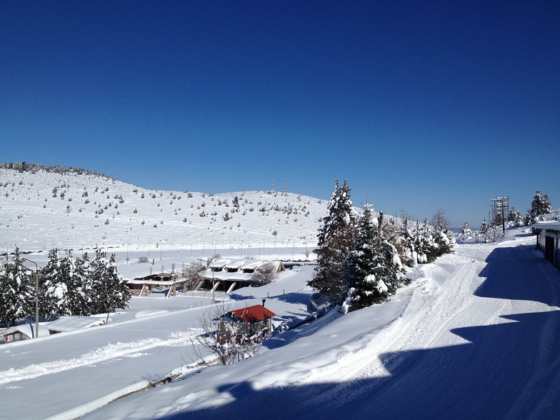A lovely sunny day., Seli