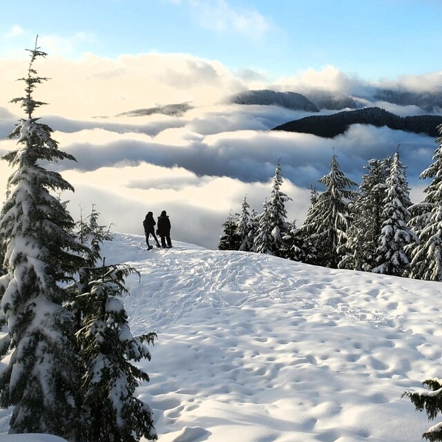 Mt Seymour Snow: Above the clouds